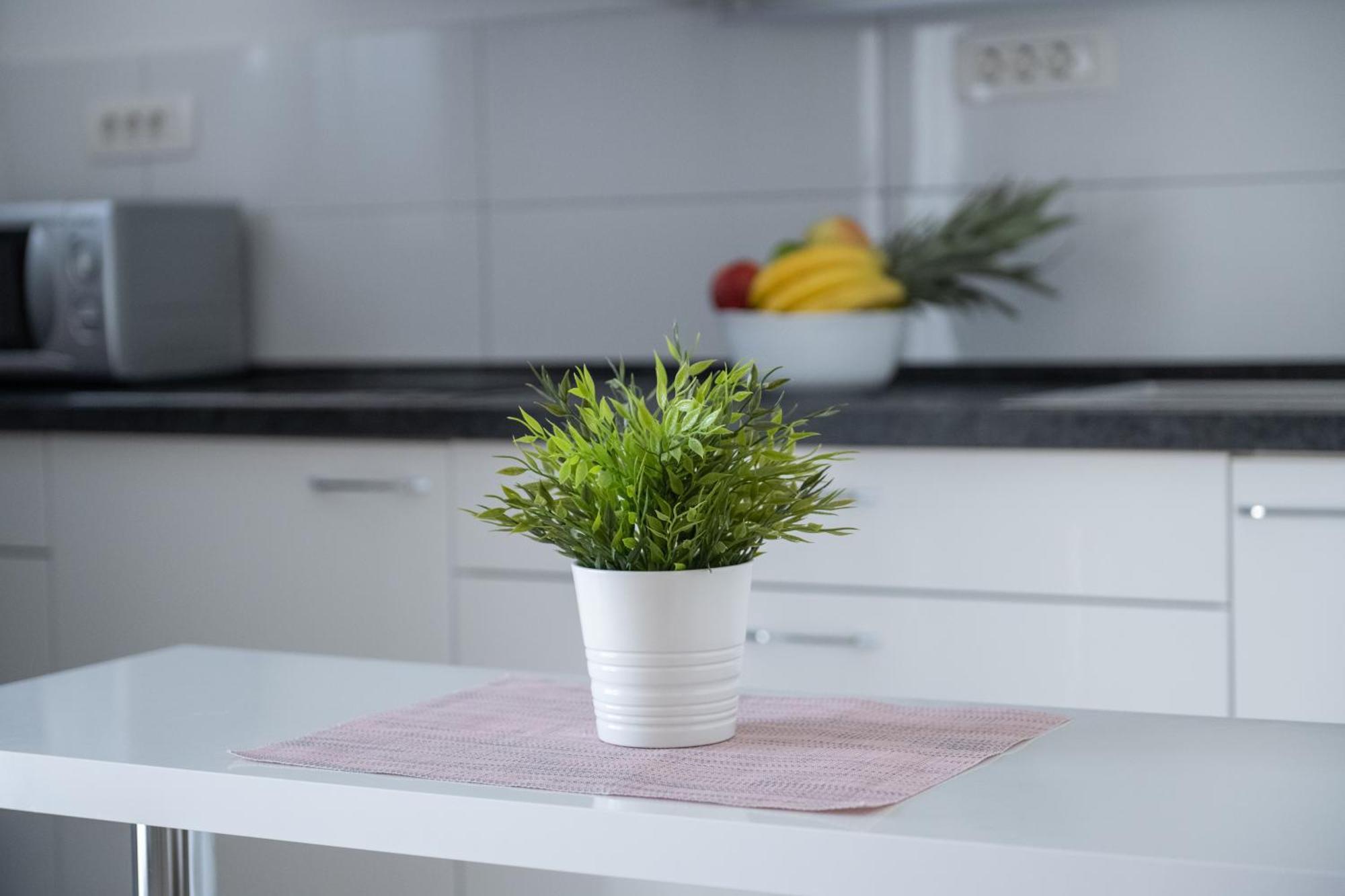 Apartments Solta Rogac Ngoại thất bức ảnh